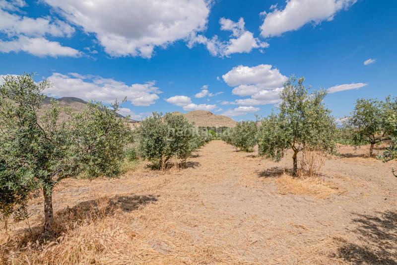 Foto c74af715-678d-47c6-8c24-0eacf5261bf5. Bauernhof in Pinos Puente