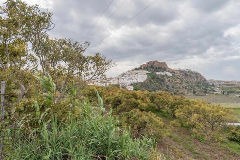 Foto 45568ad7-b4d1-4196-bf99-201a7a30c8cf. Terreny residencial a carretera malaga (cal) 74 a Salobreña