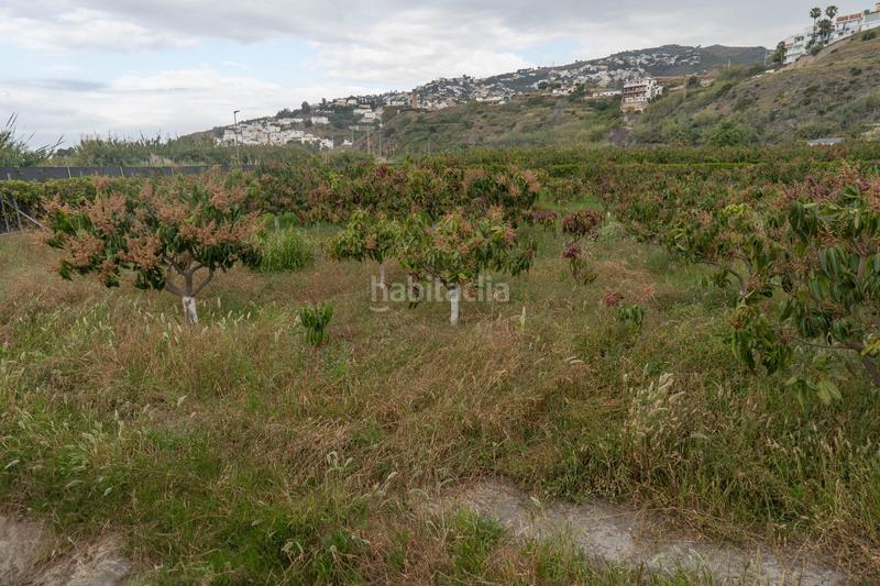 Foto 4cb6f0a6-0780-44cf-a381-087f7e7daed8. Terreny residencial a carretera malaga (cal) 74 a Salobreña