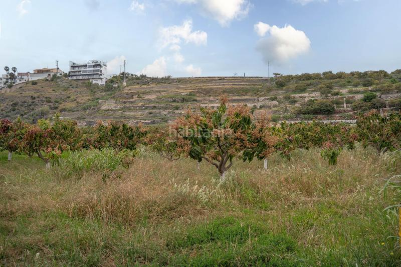 Foto 6028e9a6-4cb4-44f3-bc45-d49a57d52076. Terreny residencial a carretera malaga (cal) 74 a Salobreña