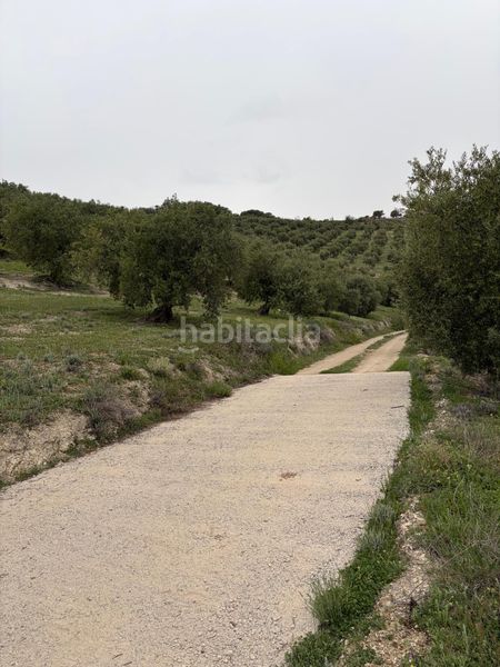 Foto 9f9a01ae-f0b1-4af4-b9b5-9c35337c84a0. Finca rústica a Luque