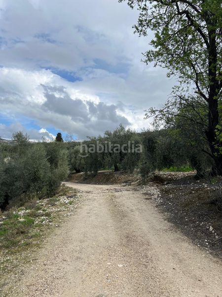 Foto 6e36223e-f054-4229-9223-ce279816659a. Finca rústica a Cabra