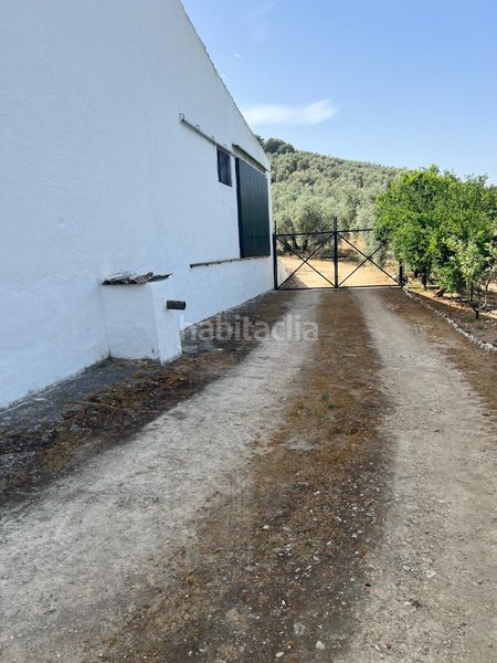 Foto dd0180c4-243f-4045-9563-2b0898e39a41. Finca rústica a Cabra