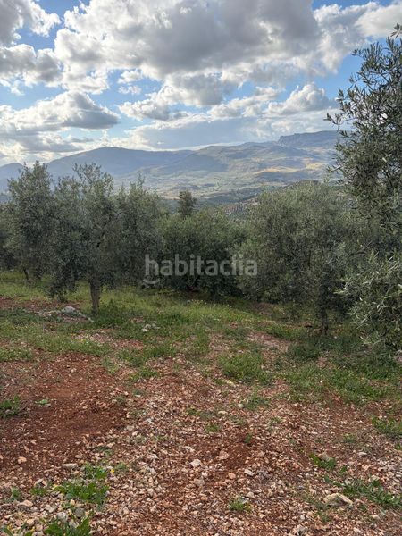 Foto a1b91dc1-b4df-4e0b-9a96-5b980290bd15. Finca rústica a Priego de Córdoba