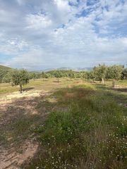 Landgut in Cabra. ¡espectacular finca en cabra con gran potencial agrícola y de re