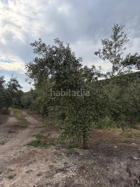 Foto 05f1c092-b678-4244-ab7b-fda973f21dfb. Finca rústica a Cabra