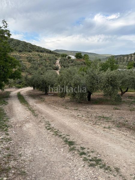 Foto 55b616b4-10a5-4592-9d71-4109de59c7a6. Finca rústica a Cabra