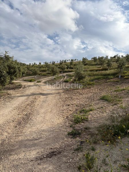 Foto c6193c34-663f-46d1-98db-1f749453e216. Finca rústica a Cabra