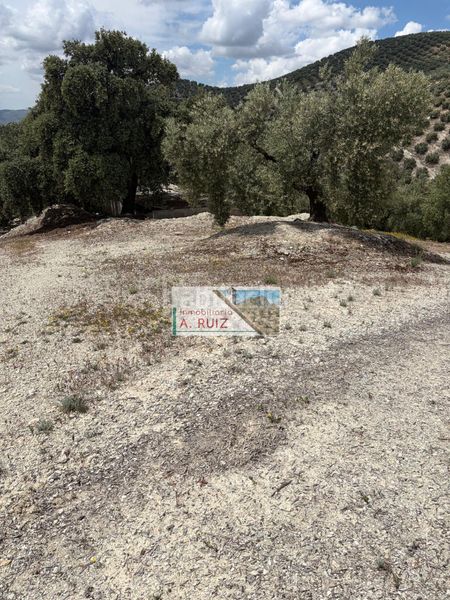 Foto af881590-afae-4c28-8a74-08ae673d9d51. Finca rústica a Iznájar