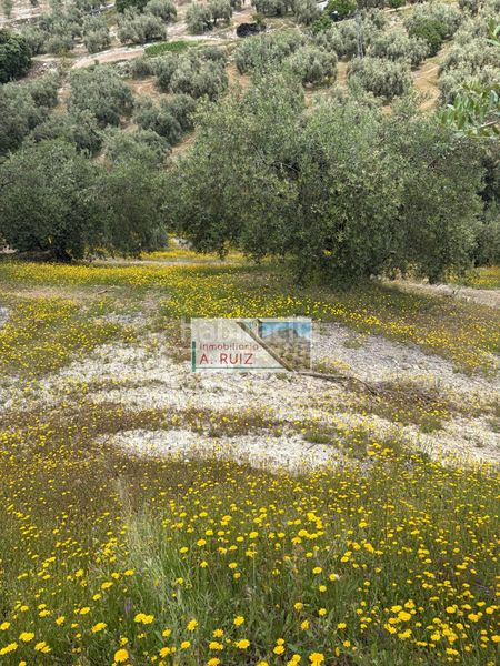Foto b38e81db-1df6-442c-b05f-6b8c29712f72. Finca rústica a Iznájar