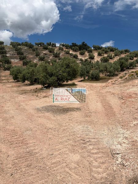 Foto e0f2af20-a7e3-4e41-a5f2-4390396ceda3. Finca rústica a Iznájar