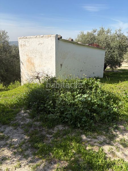 Foto d39fffea-0830-4483-a93d-283e7d1284c1. Finca rústica a Poleares Lucena