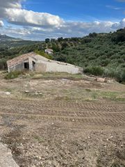 Landgut in Almedinilla. Finca olivar con cortijo para restaurar