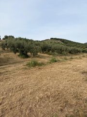 Finca rústica a Priego de Córdoba