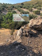 Rural plot in Priego de Córdoba