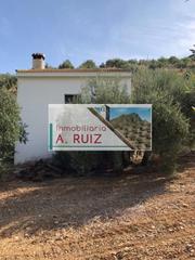 Rural plot in Priego de Córdoba