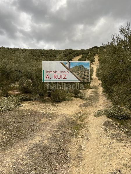 Foto 0828bc62-e6c2-474d-9378-448ba5908038. Landgut in Priego de Córdoba