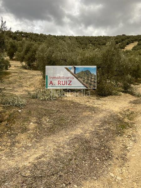 Foto d77513e3-f8c5-44e9-b6e4-f20b5e04ac5e. Landgut in Priego de Córdoba