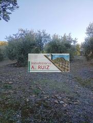 Finca rústica a Luque. Finca de olivar
