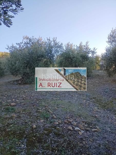 Foto 3fbdca0e-1eab-47b9-8146-73d94e695c90. Landgut in Luque