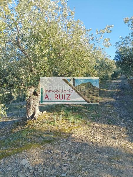 Foto b63b412c-42fa-4503-90a3-52bb6d736dcd. Landgut in Luque