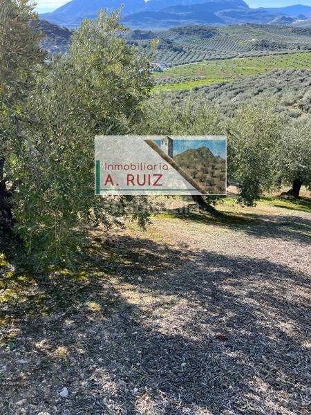 Foto 52ba8031-a008-4e48-9189-191141211a19. Rural plot in Priego de Córdoba