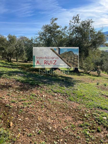 Foto c81fef72-7be6-4701-9306-f040723a5472. Rural plot in Priego de Córdoba