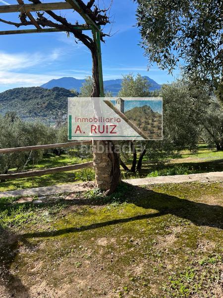 Foto 25515dfa-6517-429e-bc2f-1e8d180cfb18. Finca rústica en Priego de Córdoba