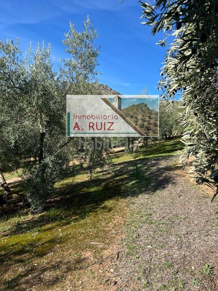 Foto 4c0bc000-4d8c-434f-b4f2-40bc813a8b94. Finca rústica en Priego de Córdoba