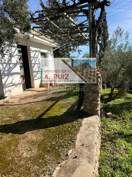 Foto 711ceeab-7219-4d8b-8b59-8ec84b16e0ba. Finca rústica en Priego de Córdoba