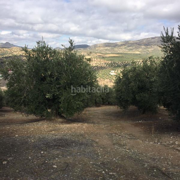 Foto 5c9c3371-a1fc-443c-a8e4-1344eb9fa70f. Landgut in Priego de Córdoba