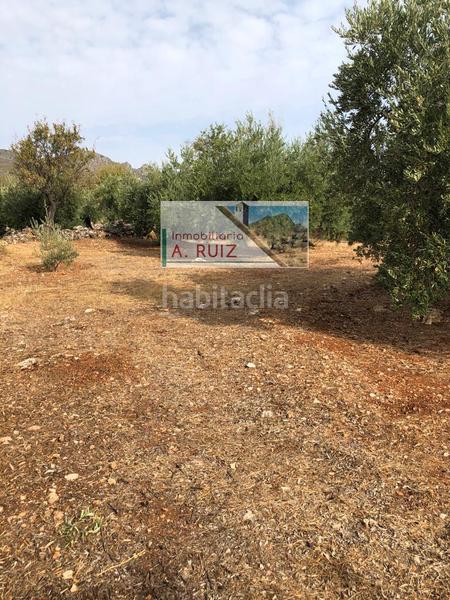 Foto b7cf10d8-d448-45ac-927e-e832f23fa285. Landgut in Priego de Córdoba