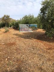Rural plot in Priego de Córdoba
