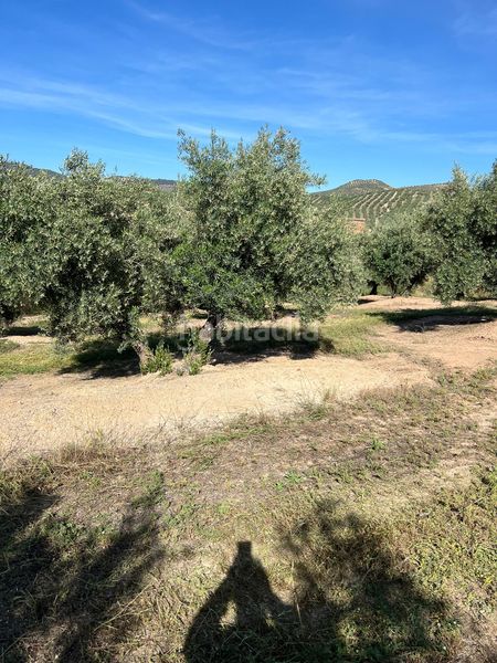 Foto 20a3e7b8-e48f-418a-a40f-c13592011029. Finca rústica en Fuente - Tójar