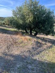 Rural plot in Fuente - Tójar