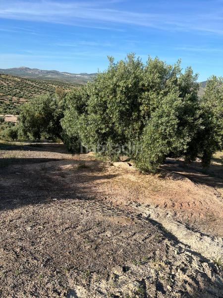 Foto 5865c600-a787-434f-ac1b-249866208b9b. Finca rústica en Fuente - Tójar