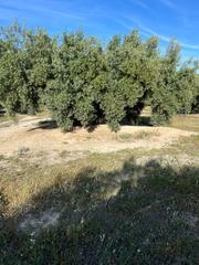 Finca rústica a Fuente - Tójar