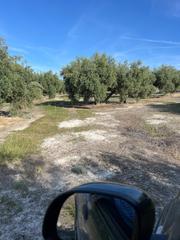 Fondo rustico in Fuente - Tójar