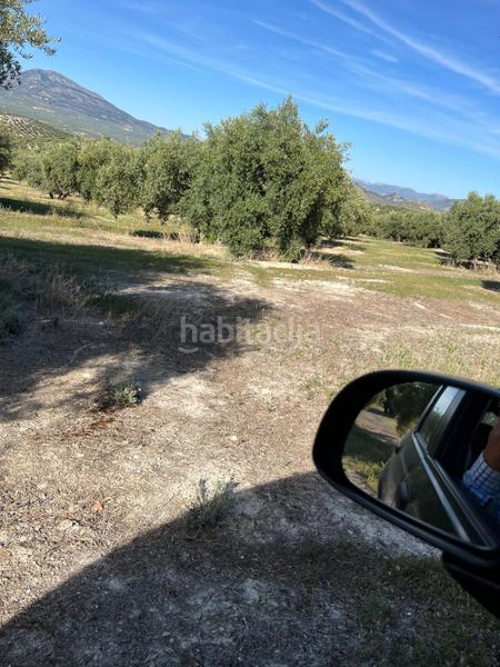 Foto 4c7b3e12-3ce9-4abb-8864-a9feae996861. Rural plot in Fuente - Tójar