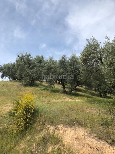 Foto c8b2dae6-abcb-44ff-840f-590405172627. Finca rústica en Priego de Córdoba