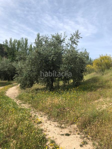 Foto eb6e260c-1076-4e5d-9134-d149390c14ac. Finca rústica en Priego de Córdoba