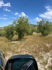 Fondo rustico in Baena