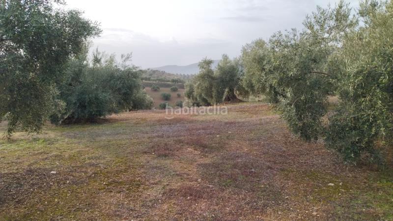 Foto a7171230-c0b6-484d-a95d-433375199a7f. Finca rústica en Priego de Córdoba