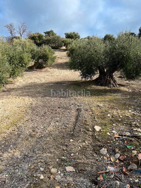 Foto aed06ac3-fe42-4510-bb54-3c5f212be433. Finca rústica a Priego de Córdoba