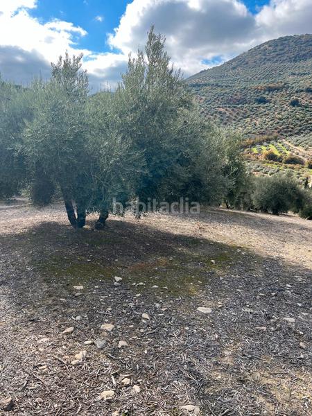 Foto ca69f790-8710-4a3d-83b0-7aa7ee5f3caa. Finca rústica en Priego de Córdoba