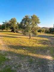 Propriété à Aguilar de la Frontera. Finca en aguilar de la frontera