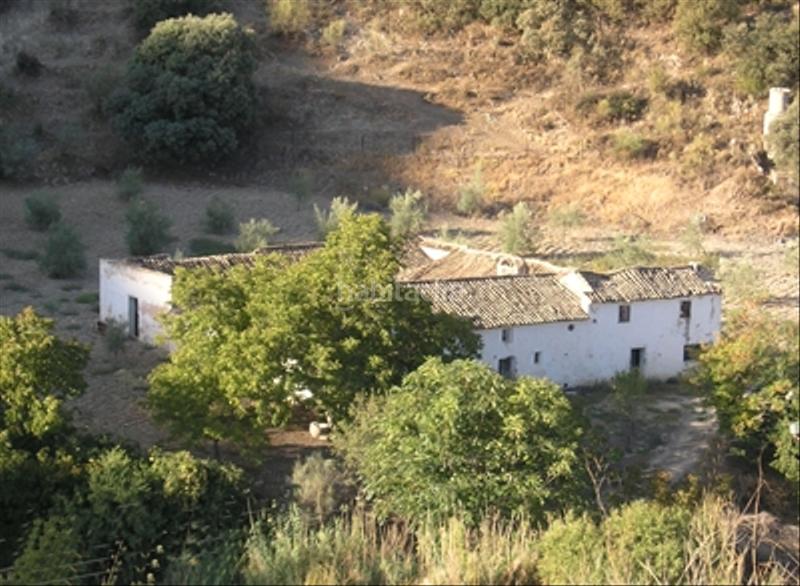 Foto 5464af08-3cf4-4aa4-bd34-a2b72d30e753. Landgut in Priego de Córdoba