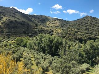 Rural plot in Priego de Córdoba. Finca de olivar con cortijo