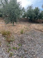 Rural plot in Priego de Córdoba. Finca a buen precio