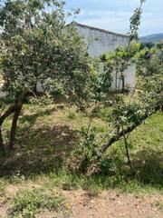 Finca rústica en Priego de Córdoba. Parcela en zagrilla